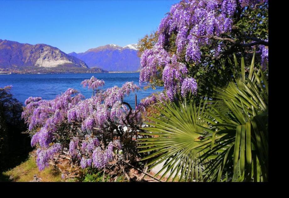 La Corte Di Suna Βερμπάνια Εξωτερικό φωτογραφία